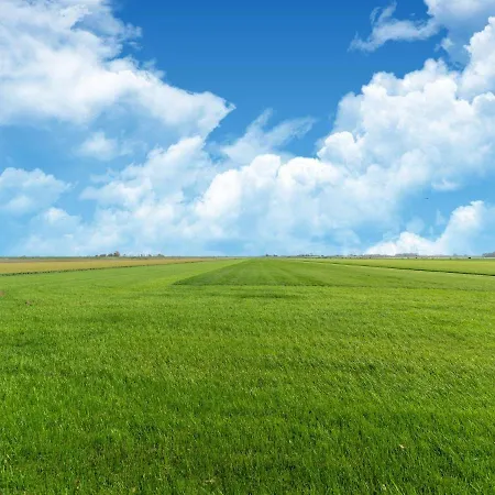 In Near The Casa de Férias Burgerbrug