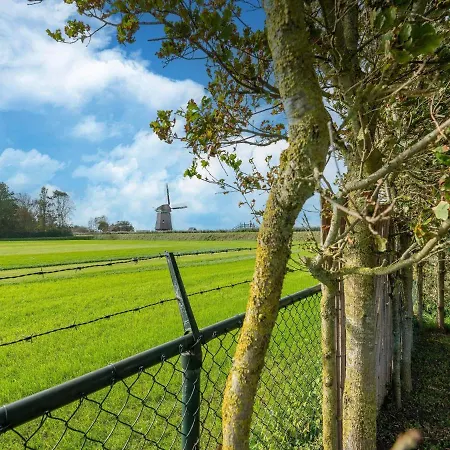 In Near The Casa de Férias *