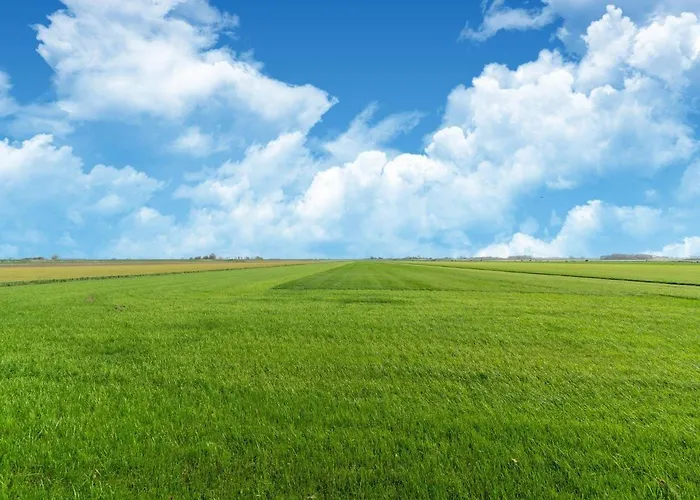 In Near The Дом отдыха Burgerbrug