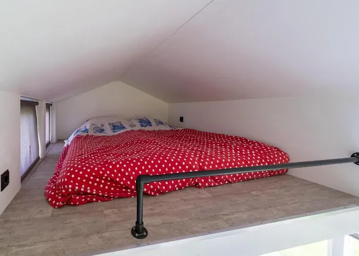 In Near The Дом отдыха Burgerbrug