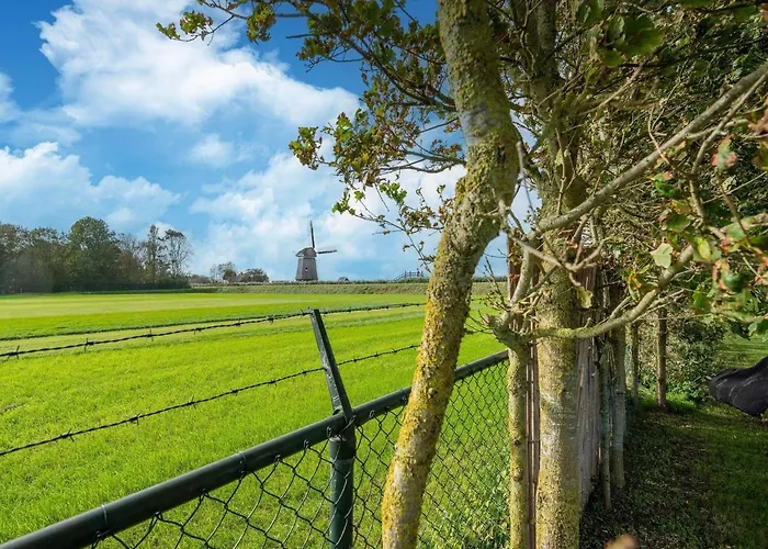 In Near The Дом отдыха *